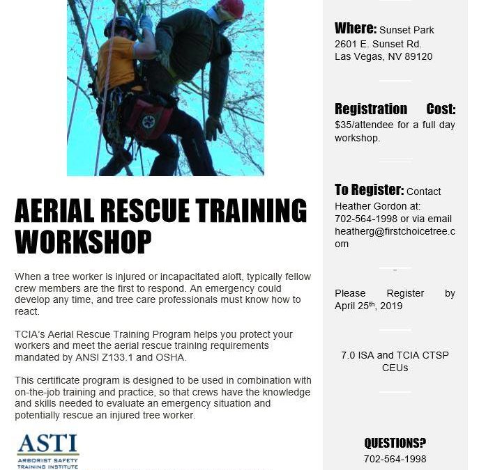 Aerial Rescue Training Workshop