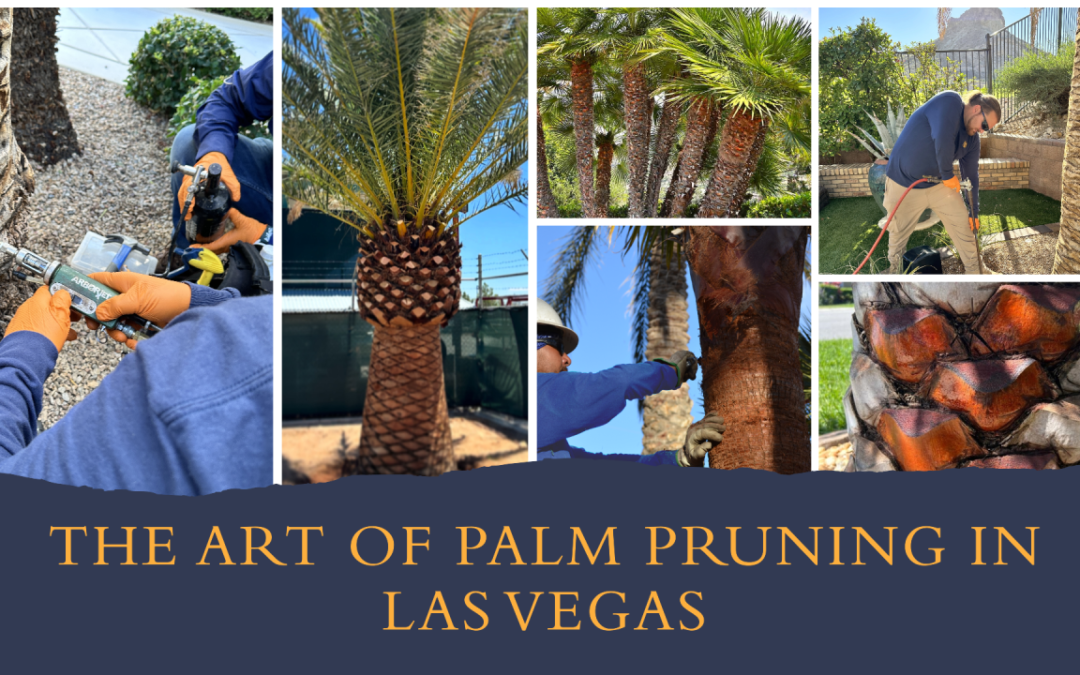 The Art and Importance of Palm Tree Pruning in Las Vegas